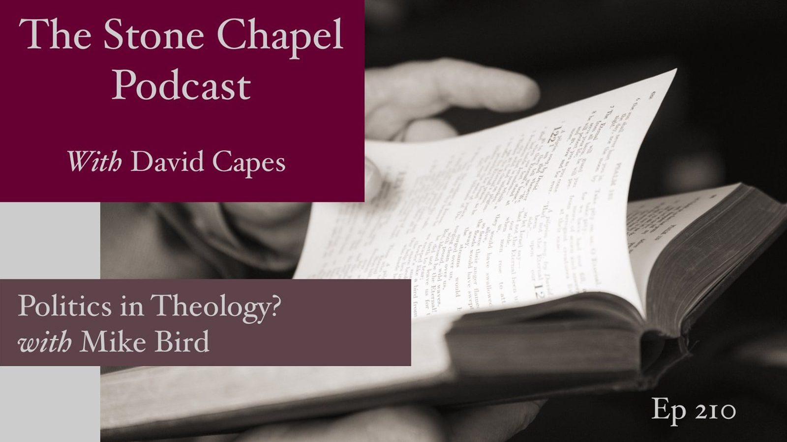 Politics in Theology? With Mike Bird